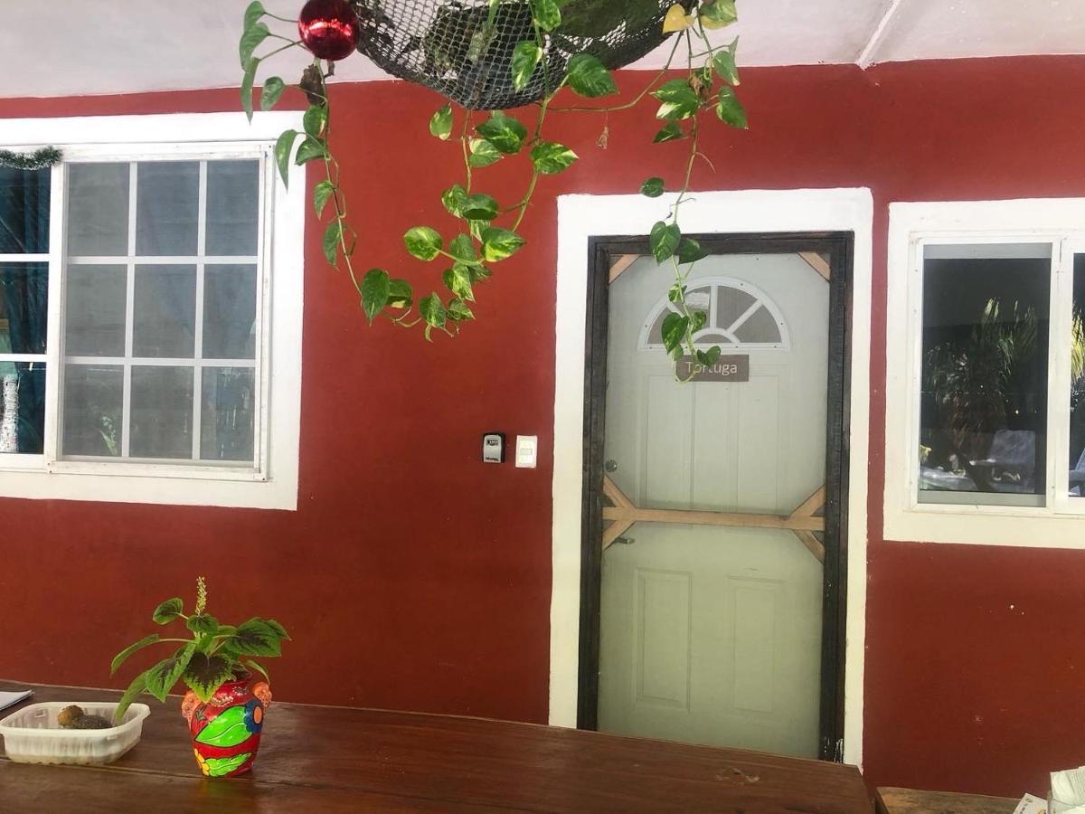 Habitación Tortuga Casa María Bonita El Cuyo Exterior foto