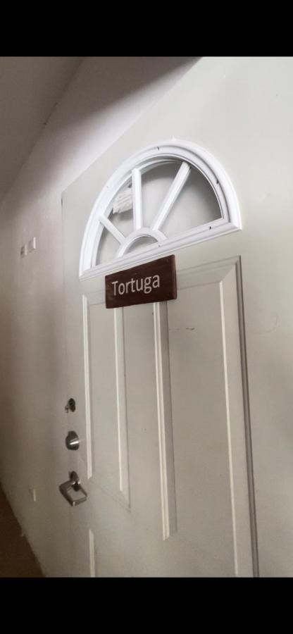 Habitación Tortuga Casa María Bonita El Cuyo Exterior foto